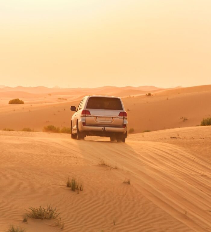 Best Of Oman - Image 2